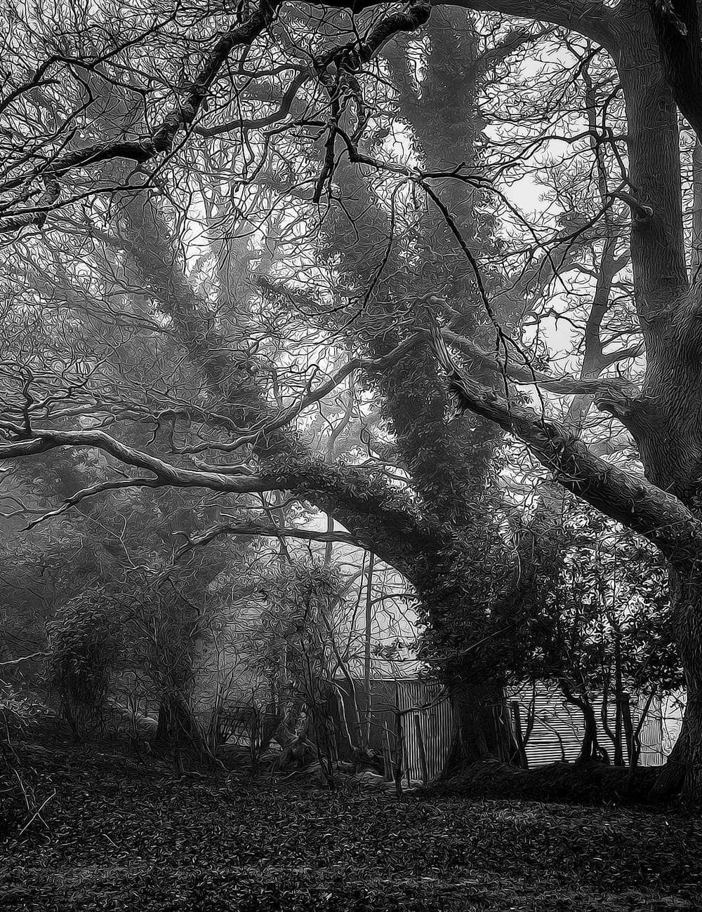 Lucie & Jan - fotografie 9